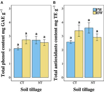 Assessment of Dietary Bioactive Phenolic Compounds and Agricultural Sustainability of an African Leafy Vegetable Corchorus olitorius L.